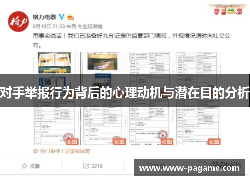 对手举报行为背后的心理动机与潜在目的分析