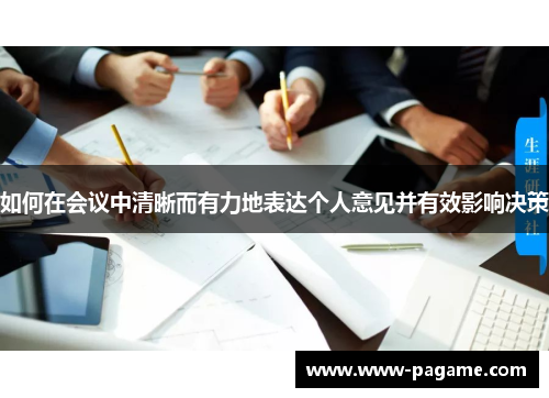 如何在会议中清晰而有力地表达个人意见并有效影响决策