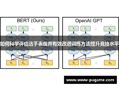 如何科学评估选手表现并有效改进训练方法提升竞技水平
