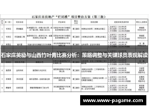 石家庄英励与山西竹叶青比赛分析：策略调整与关键球员表现解读