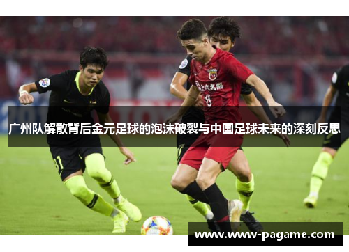 广州队解散背后金元足球的泡沫破裂与中国足球未来的深刻反思