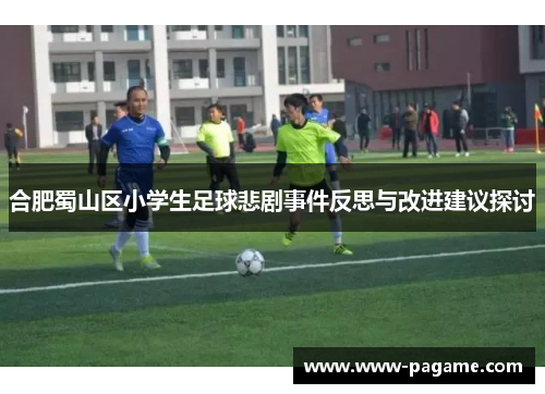 合肥蜀山区小学生足球悲剧事件反思与改进建议探讨
