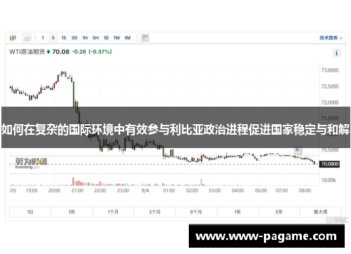 如何在复杂的国际环境中有效参与利比亚政治进程促进国家稳定与和解