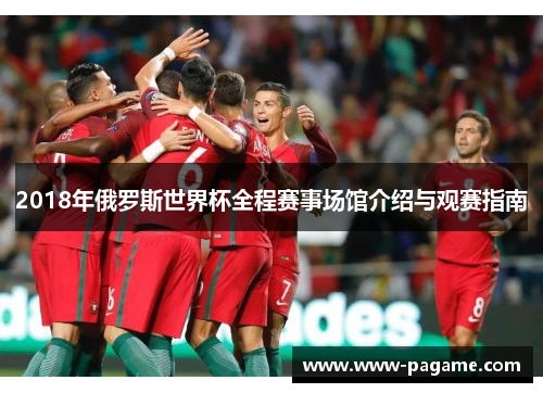 2018年俄罗斯世界杯全程赛事场馆介绍与观赛指南