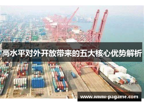 高水平对外开放带来的五大核心优势解析