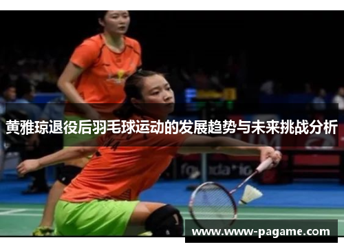 黄雅琼退役后羽毛球运动的发展趋势与未来挑战分析