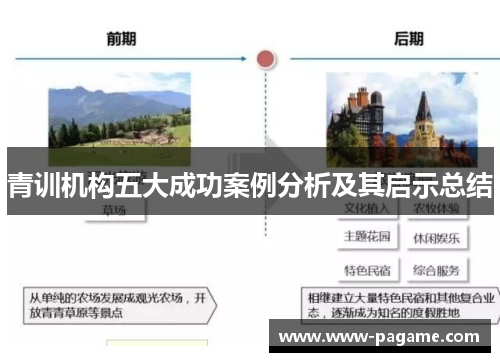 青训机构五大成功案例分析及其启示总结