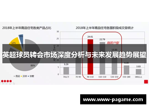 英超球员转会市场深度分析与未来发展趋势展望 英超球员转会市场深度分析与未来发展趋势展望