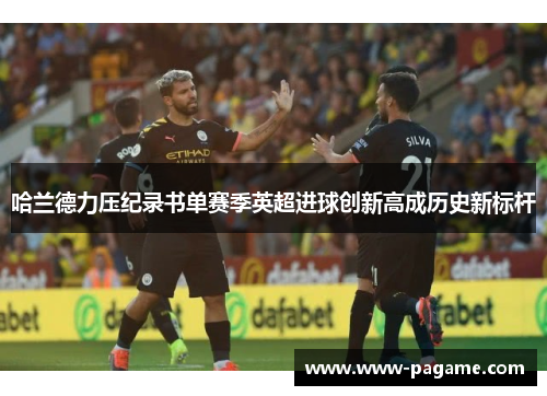 哈兰德力压纪录书单赛季英超进球创新高成历史新标杆